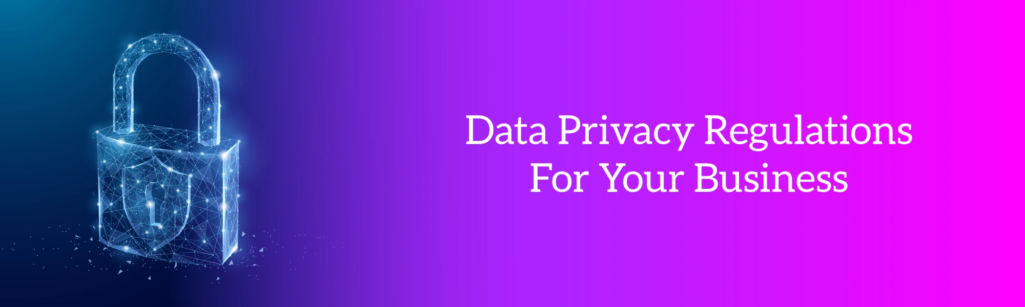 Data Privacy Regulations For Your Business